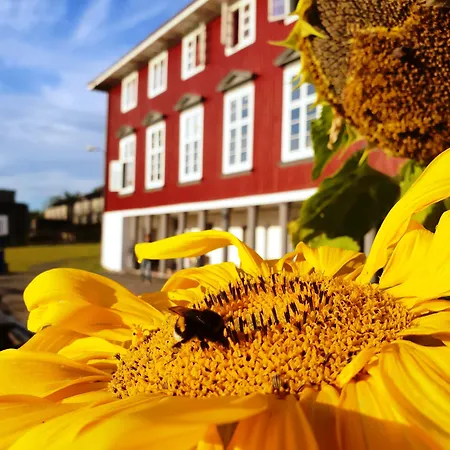 Хостел Ronningen Осло