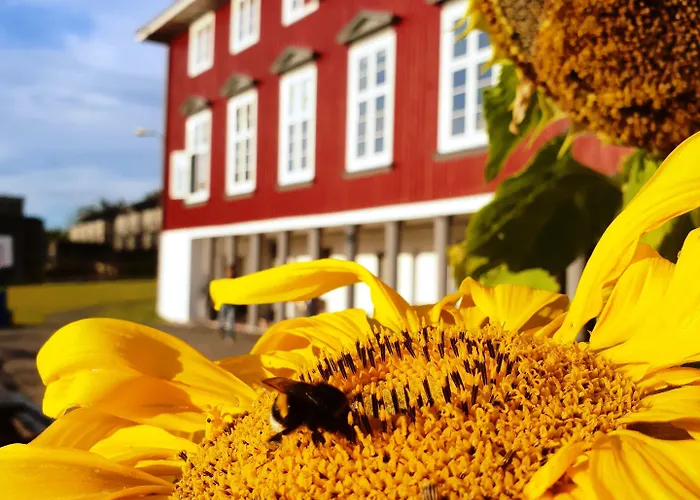 Hostel Ronningen Oslo